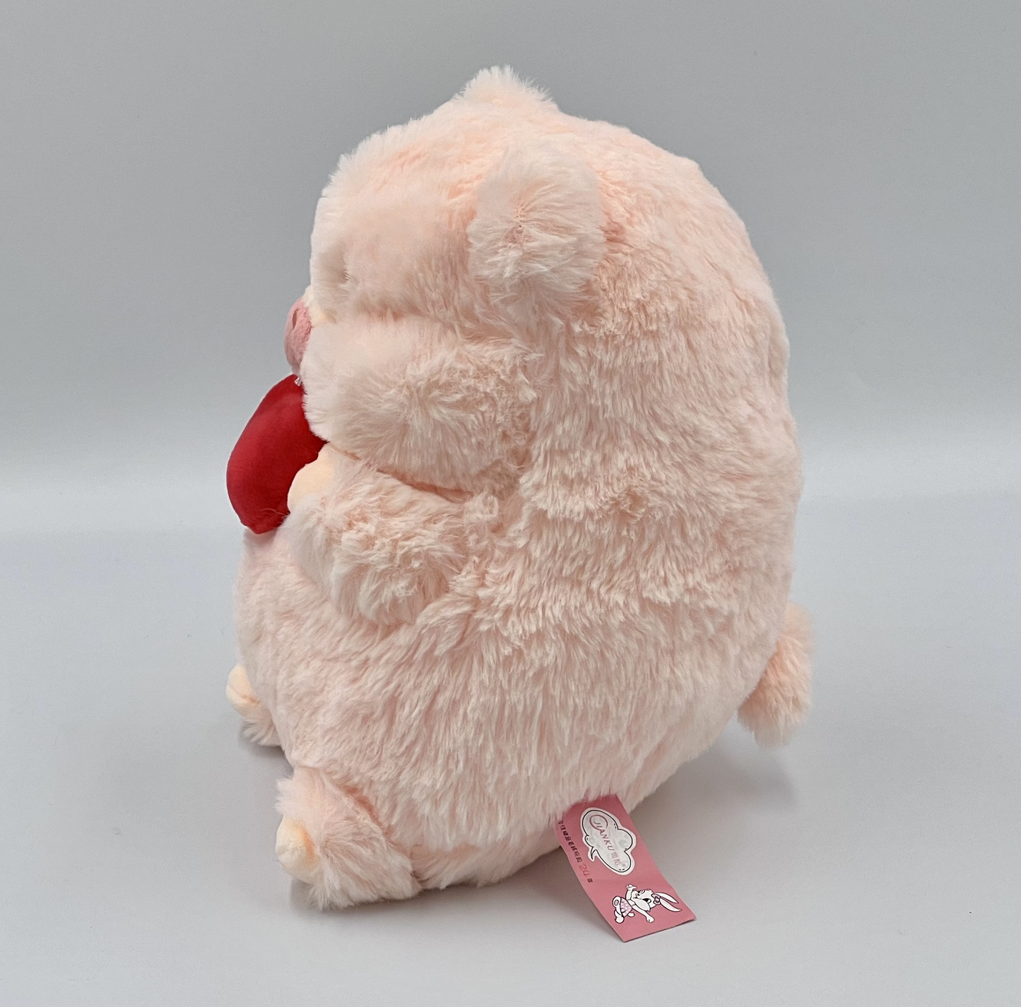 Pink Pig