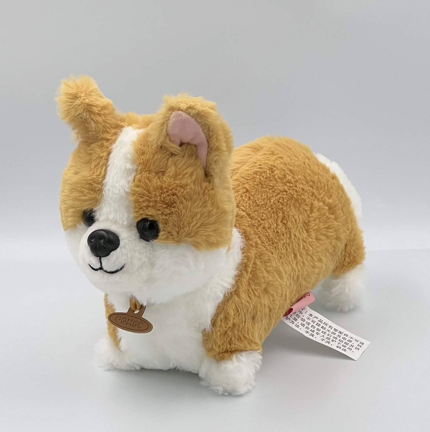 Corgi Dog