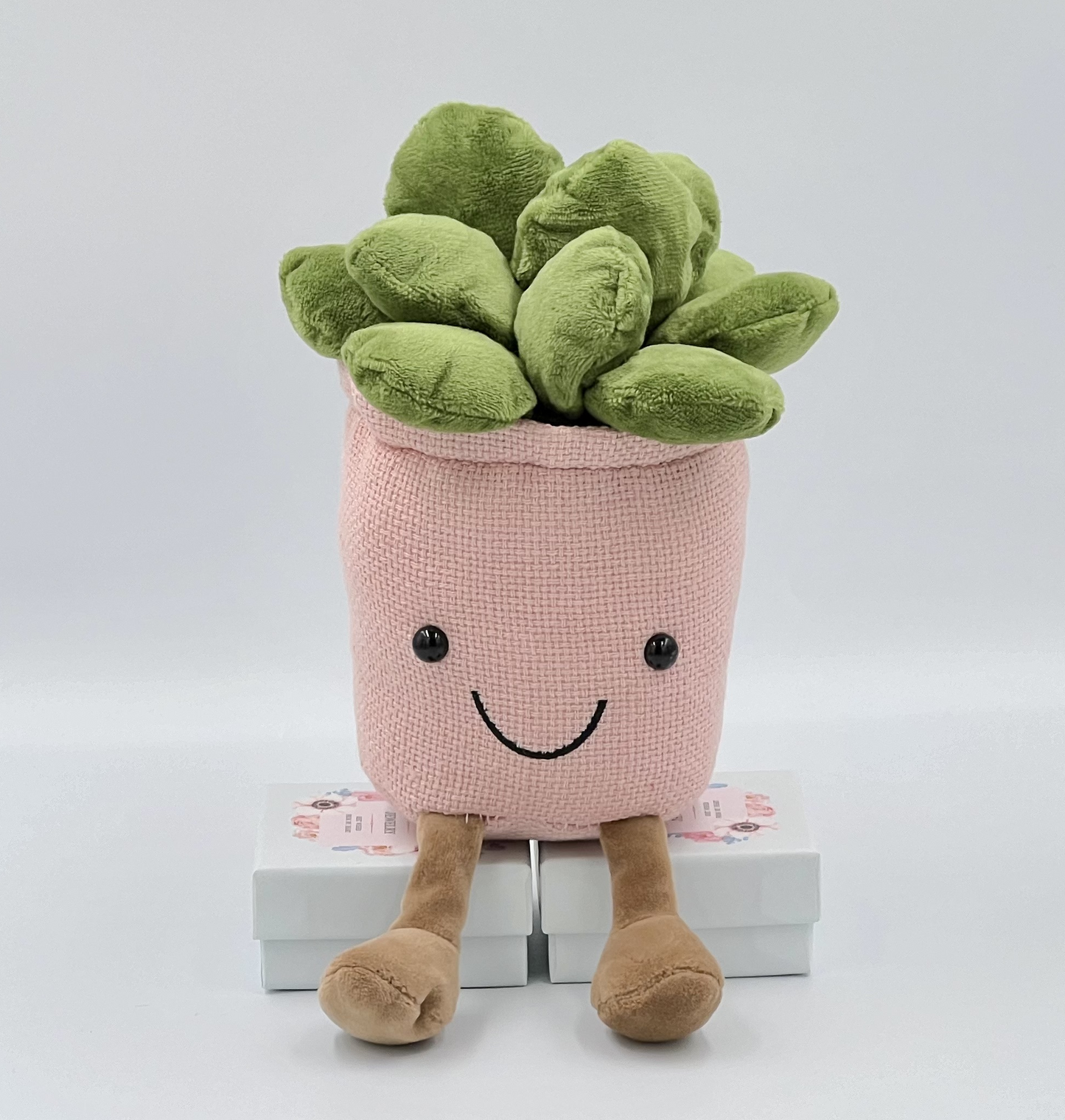 Succulent Plants