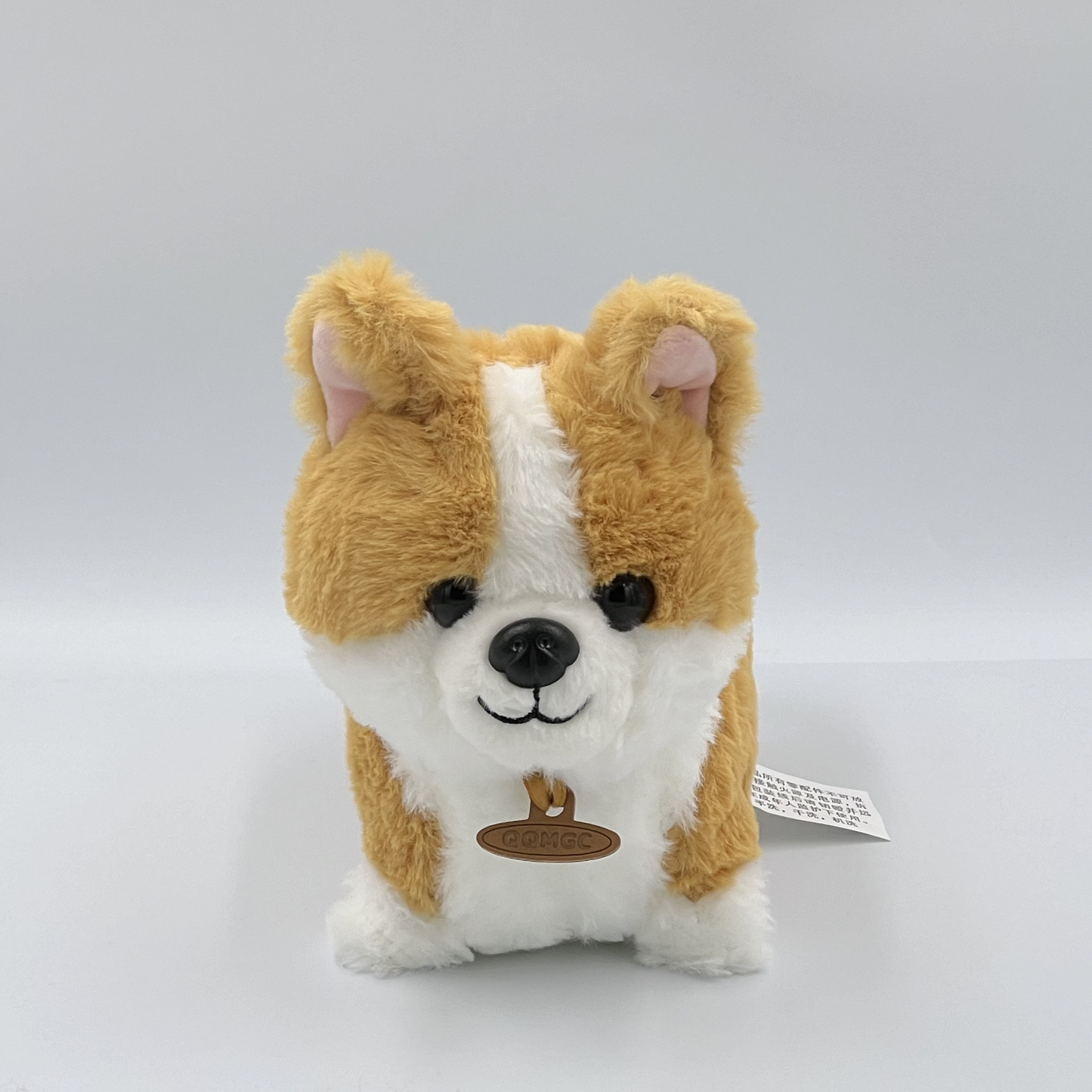 Corgi Dog