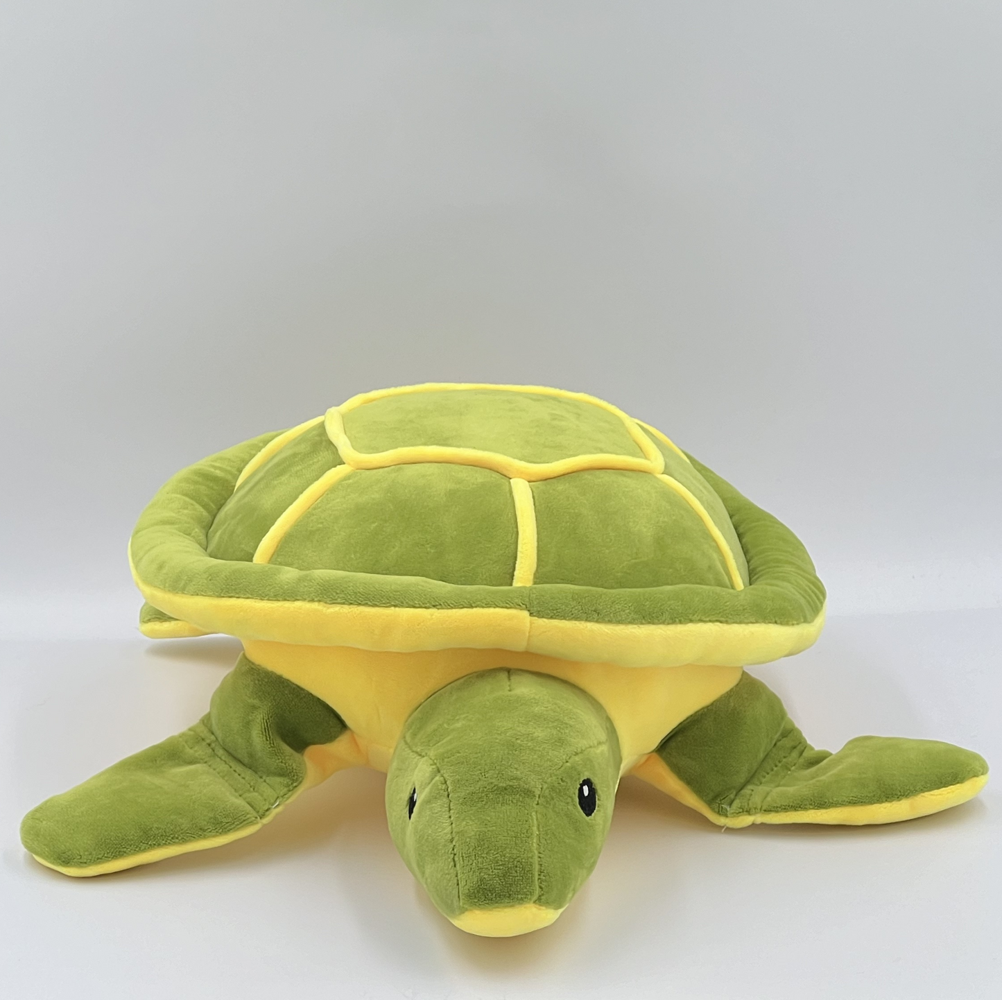 Tortoise