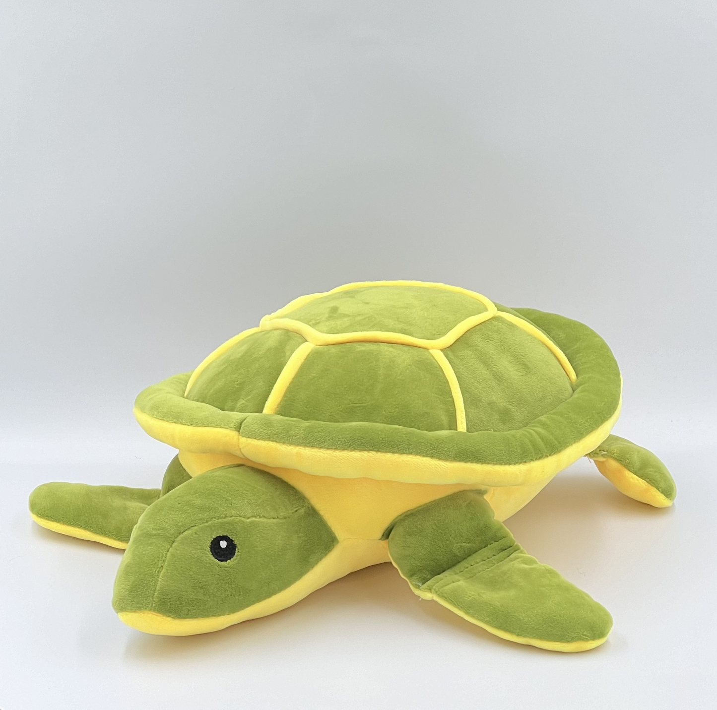 Tortoise