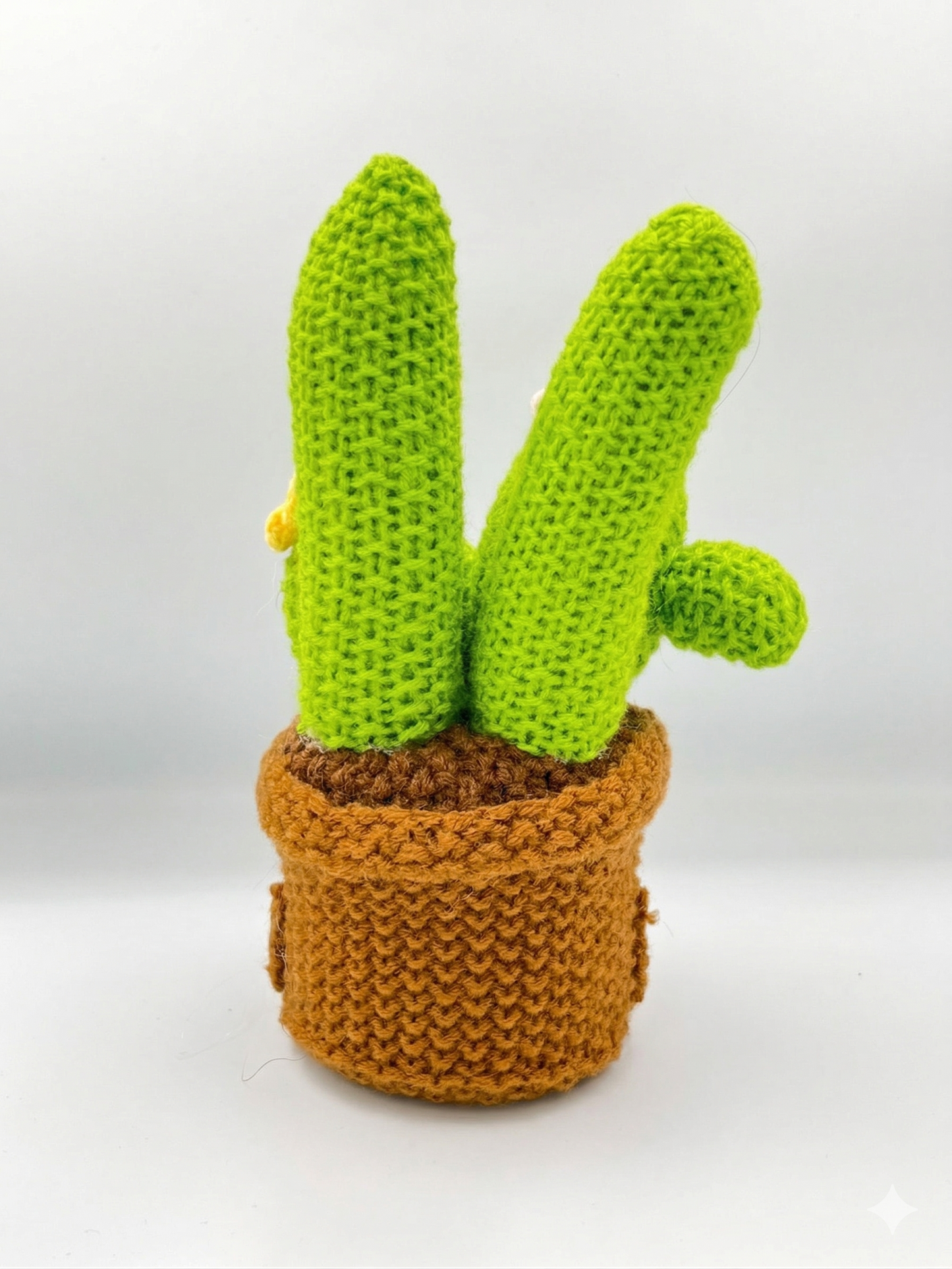 Crochet cactus