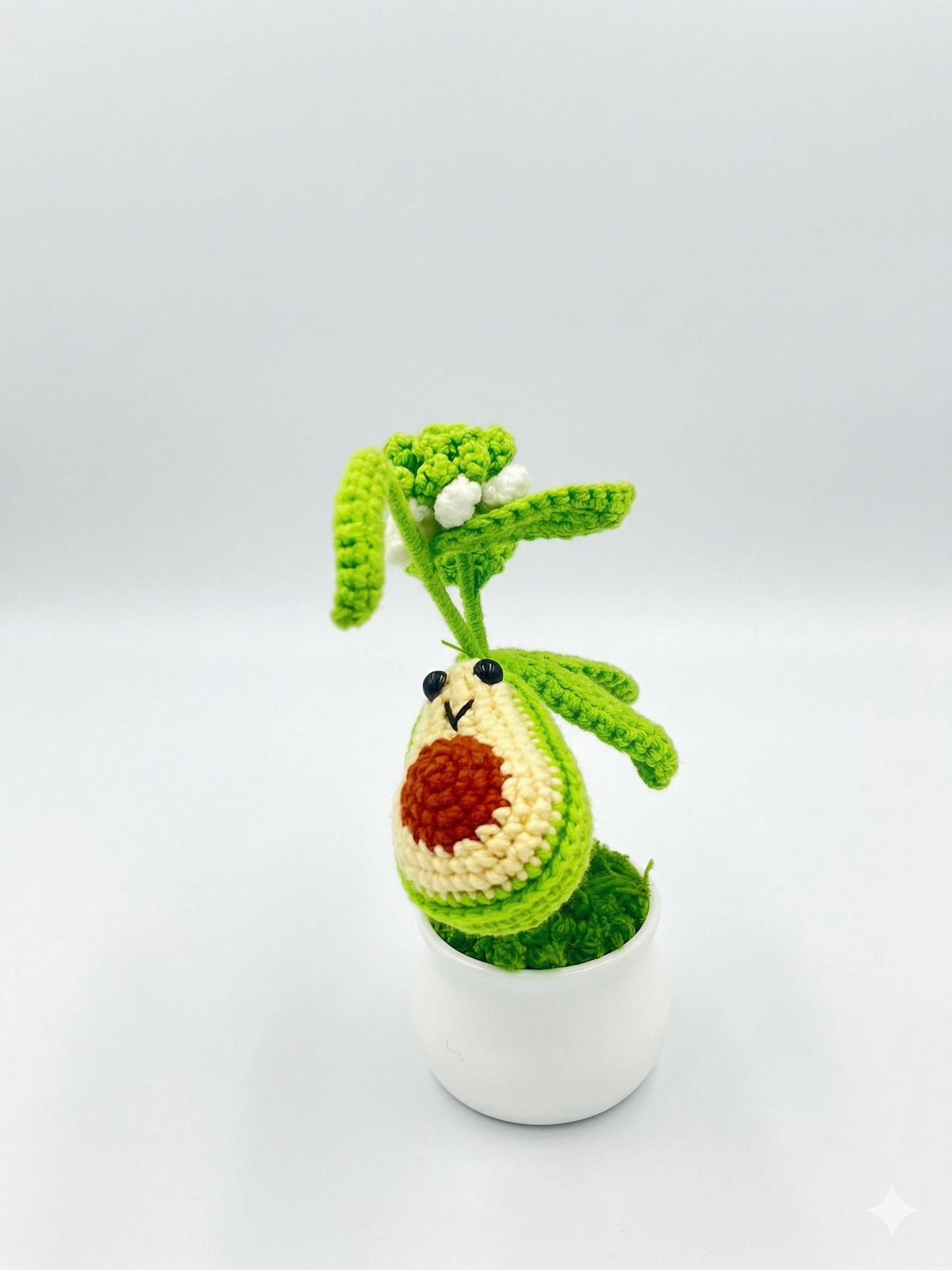 Avocado sprout