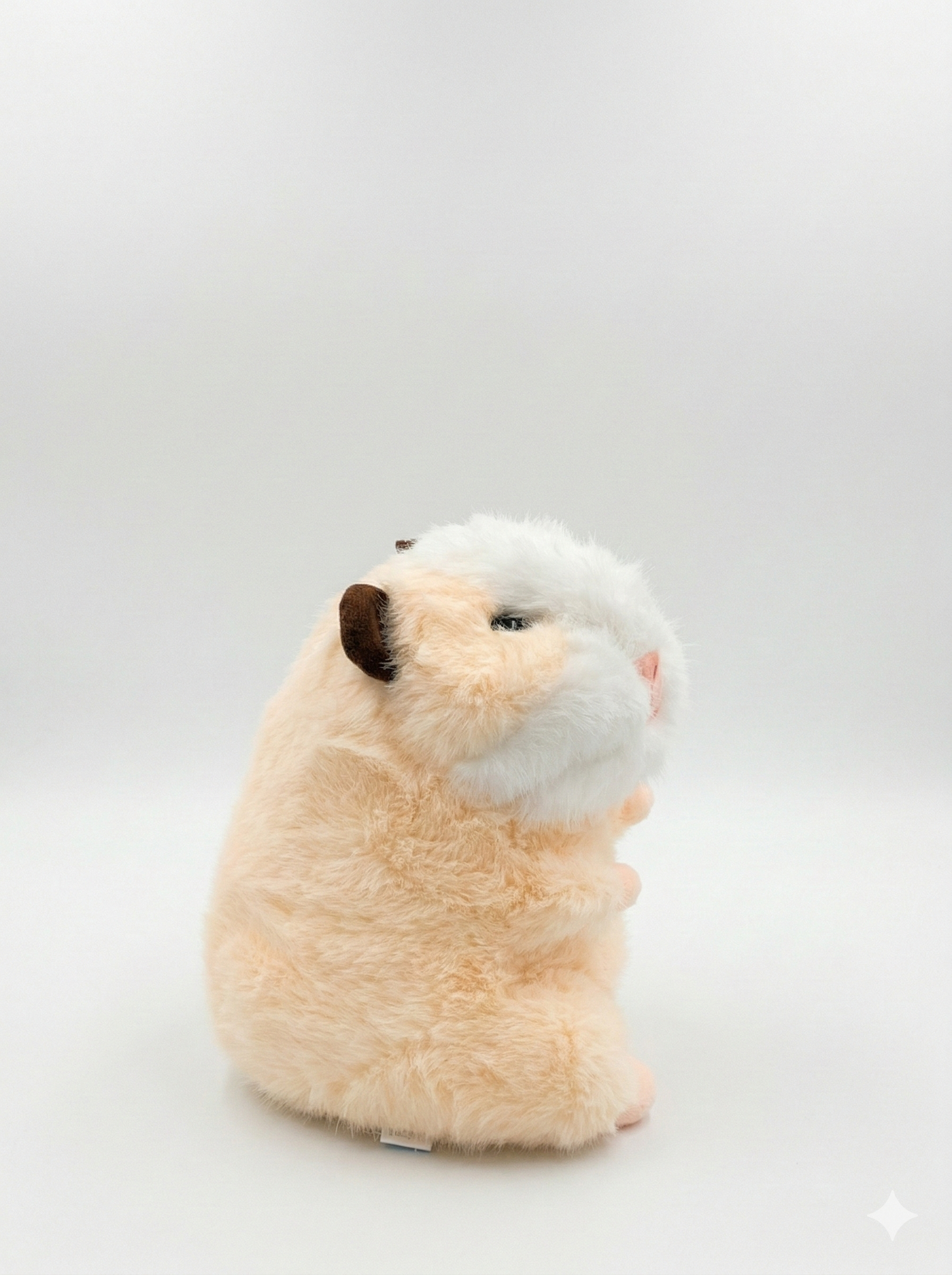 Hamster