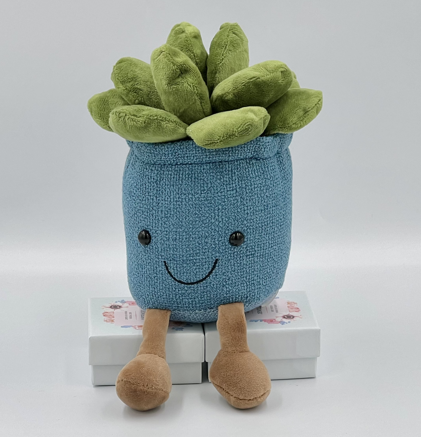 Succulent Plants