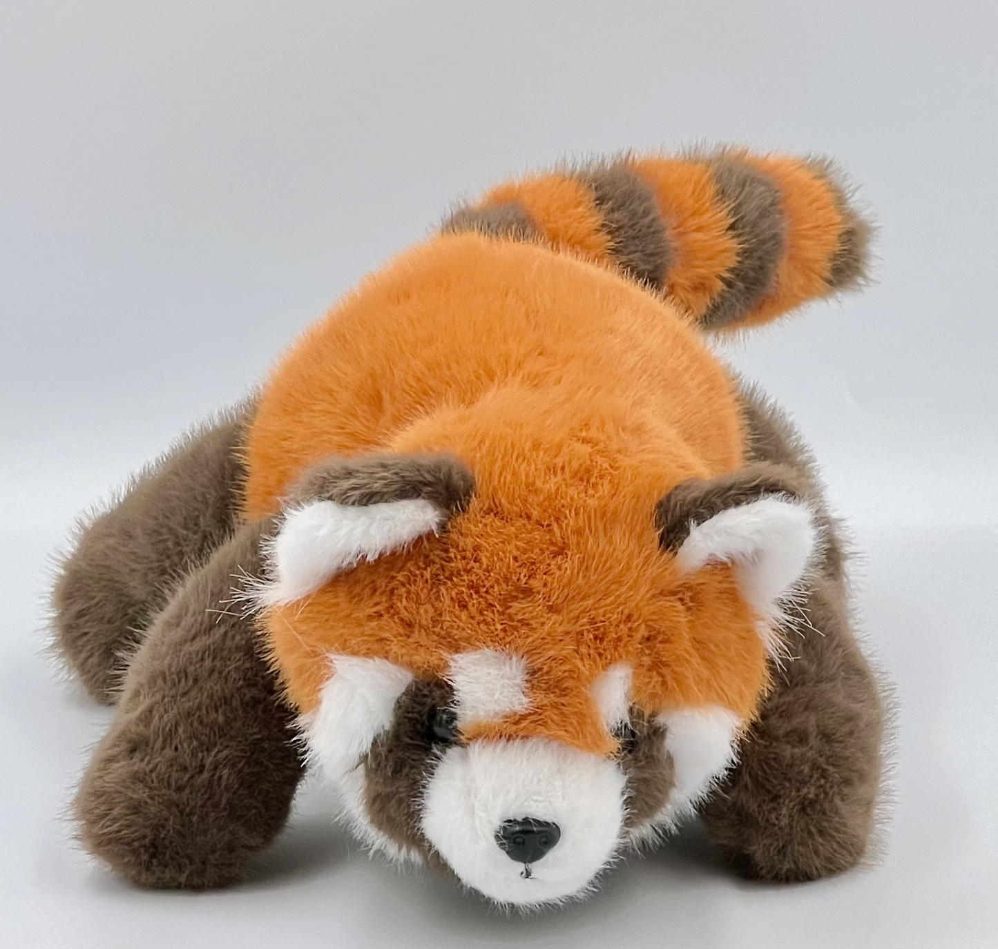 Red Panda &  Raccoon