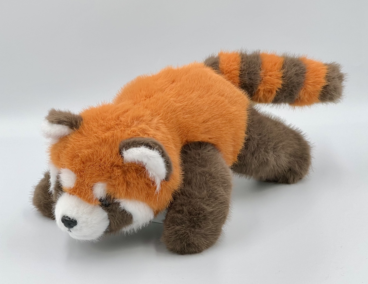 Red Panda &  Raccoon