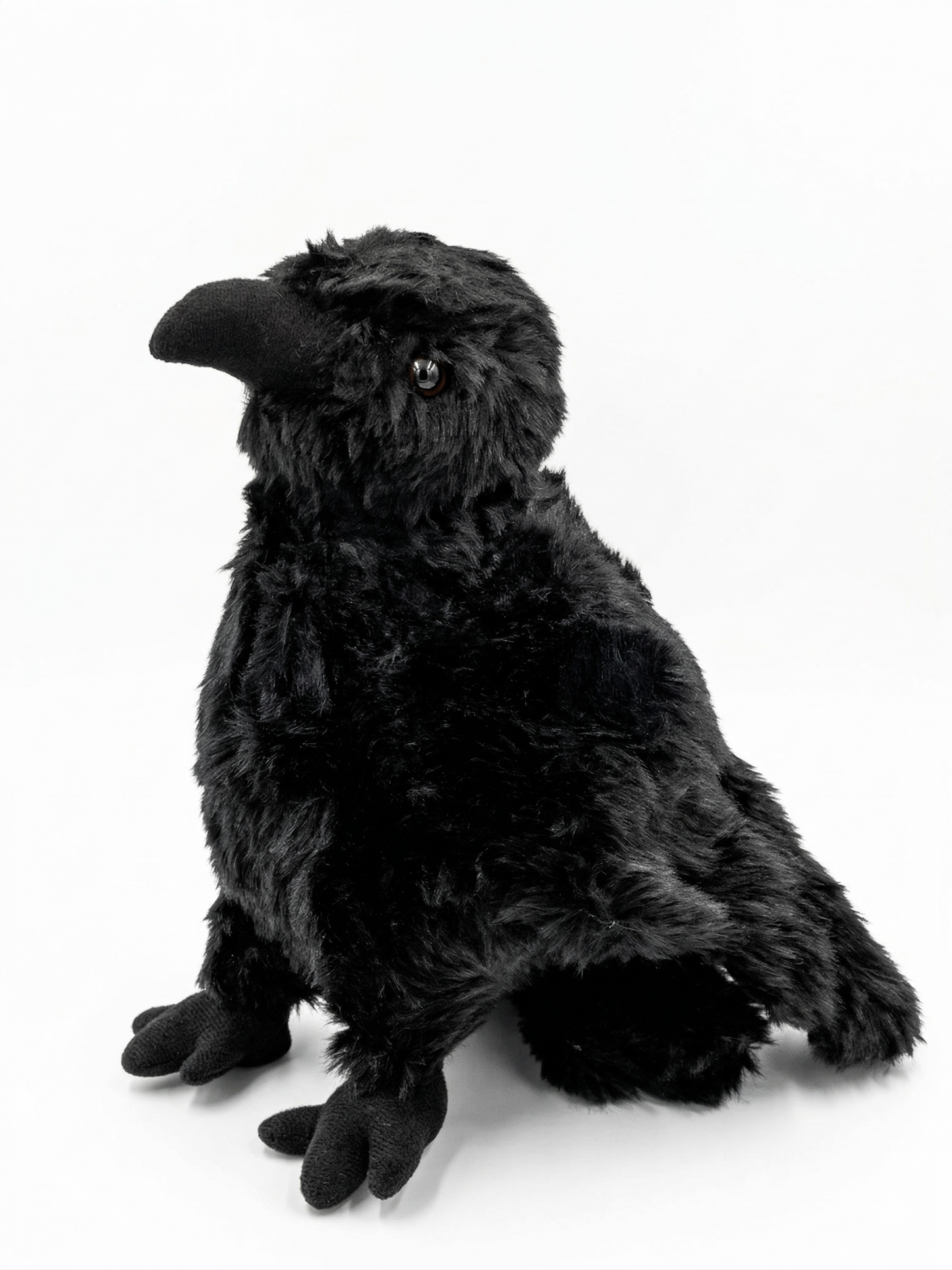 Midnight Crow
