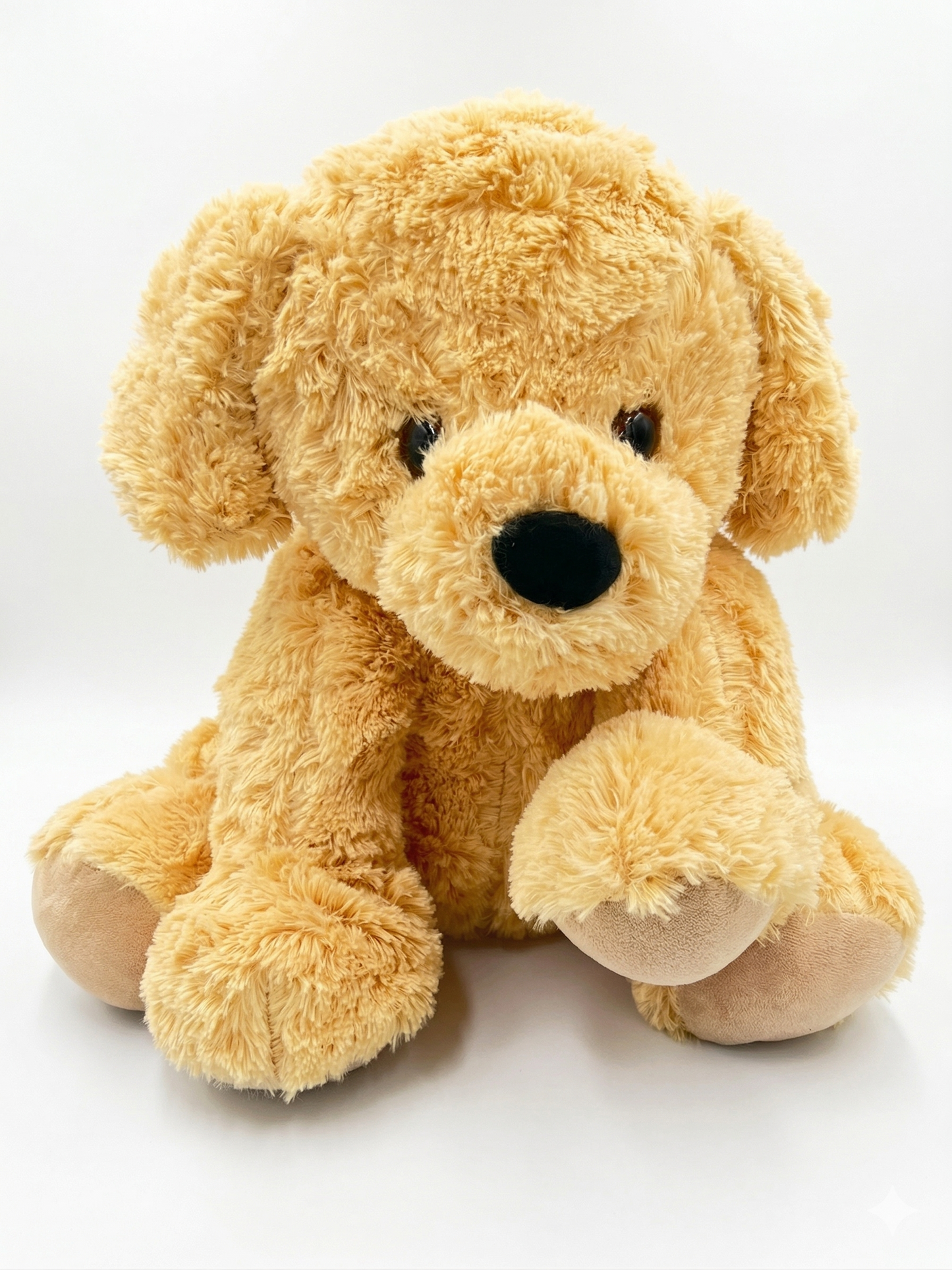 Golden Puppy