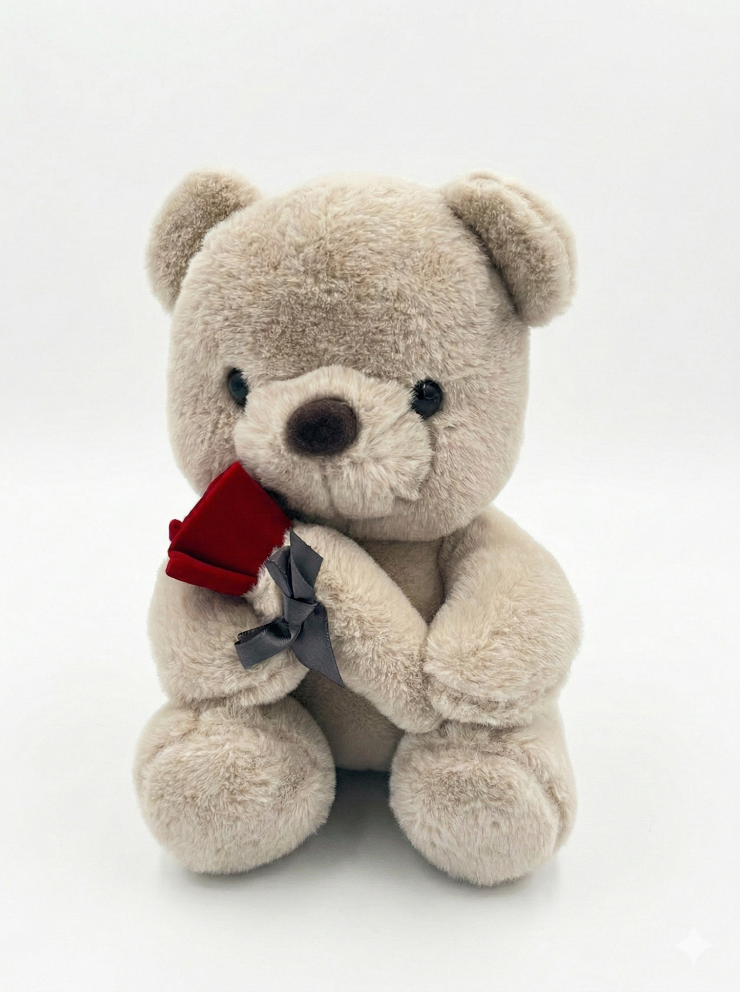 Cute Teddy