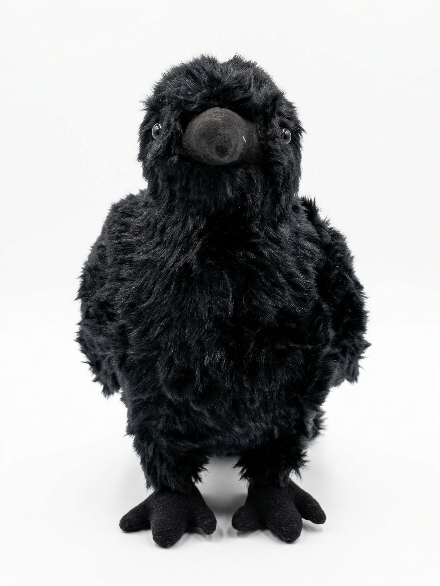 Midnight Crow