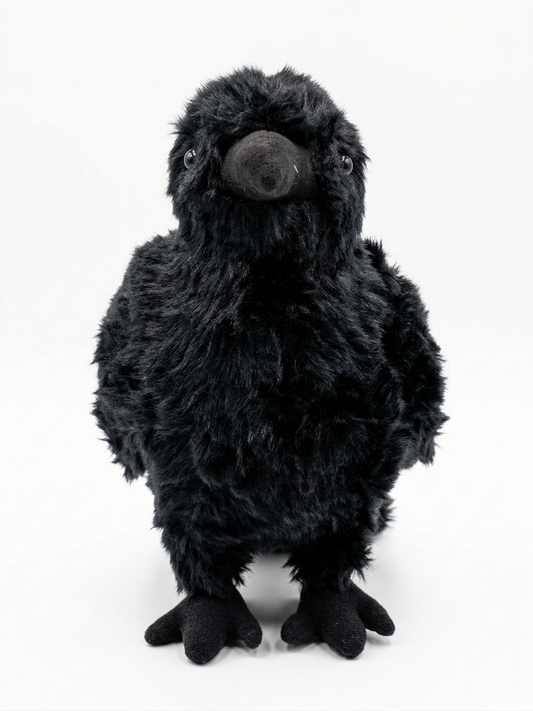 Midnight Crow