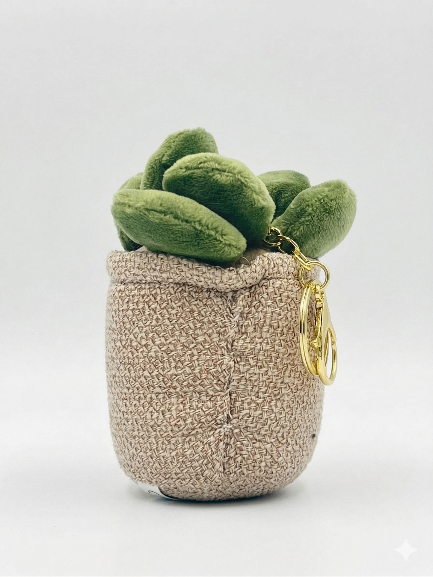 Succulent Pal Keyring