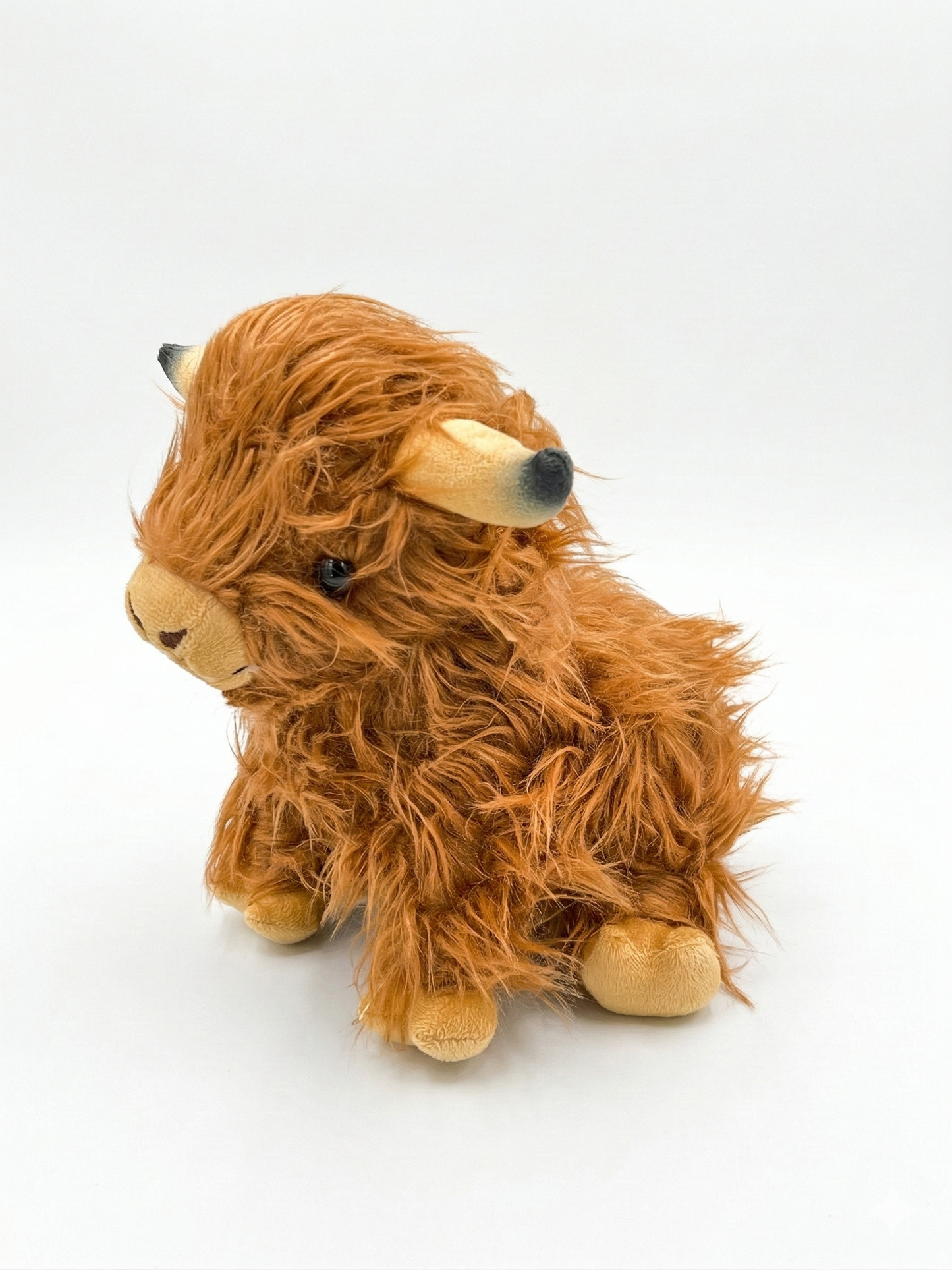 Highland Cow