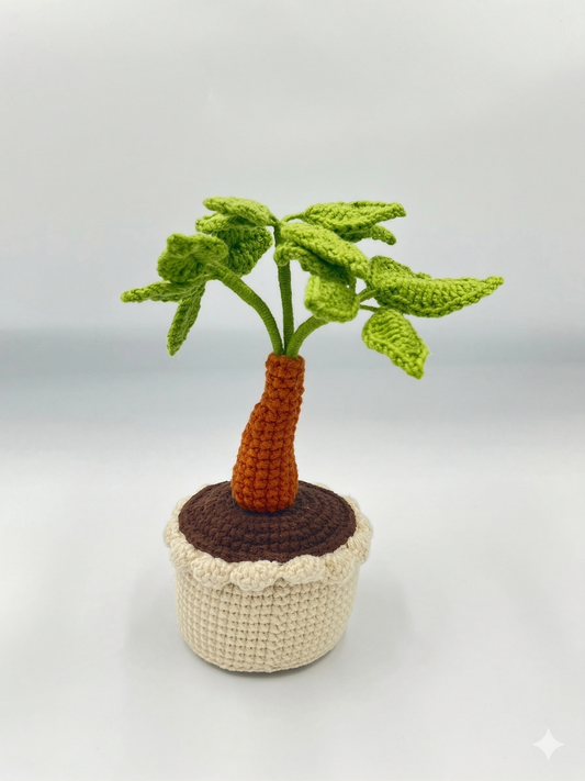 Money Tree
