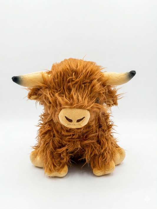 Highland Cow