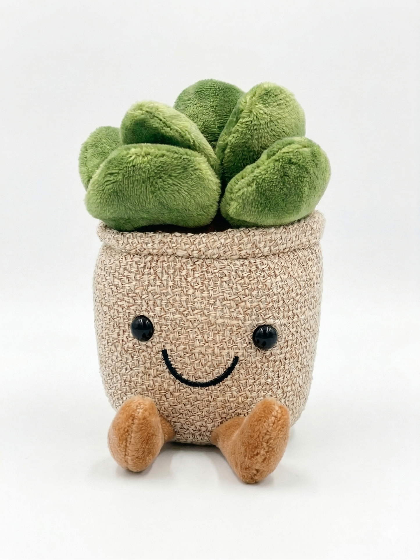 Succulent Pal Keyring