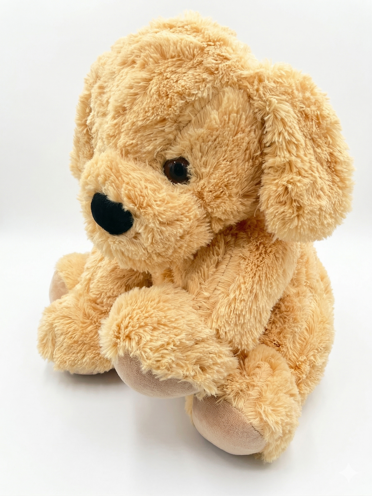 Golden Puppy